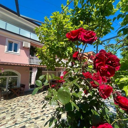 Apartments Tereza Novigrad Istria Extérieur photo