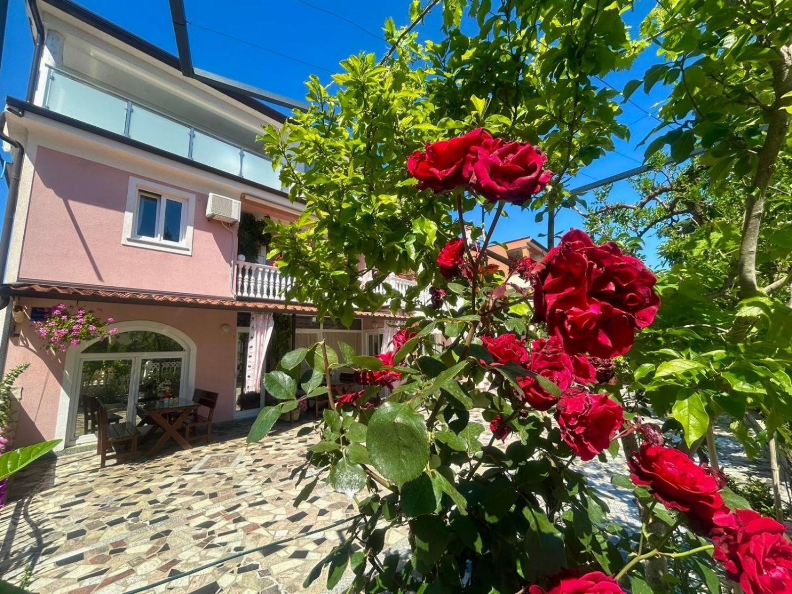 Apartments Tereza Novigrad Istria Extérieur photo